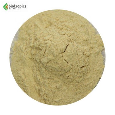 New Malaysian Herbal Plant Extract Ingredient Eurycoma Longifolia (pasak Bumi) Pg5 In Powder Form